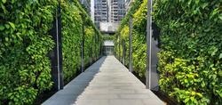 The Luxurie (D19), Condominium #214795181